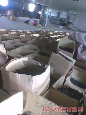 惠州專業(yè)二手設(shè)備回收 高價(jià)收購(gòu)，信譽(yù)保障